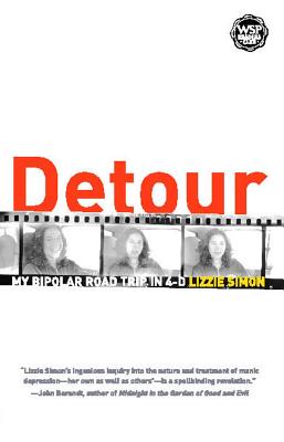 Detour: My Bipolar Roadtrip in 4D