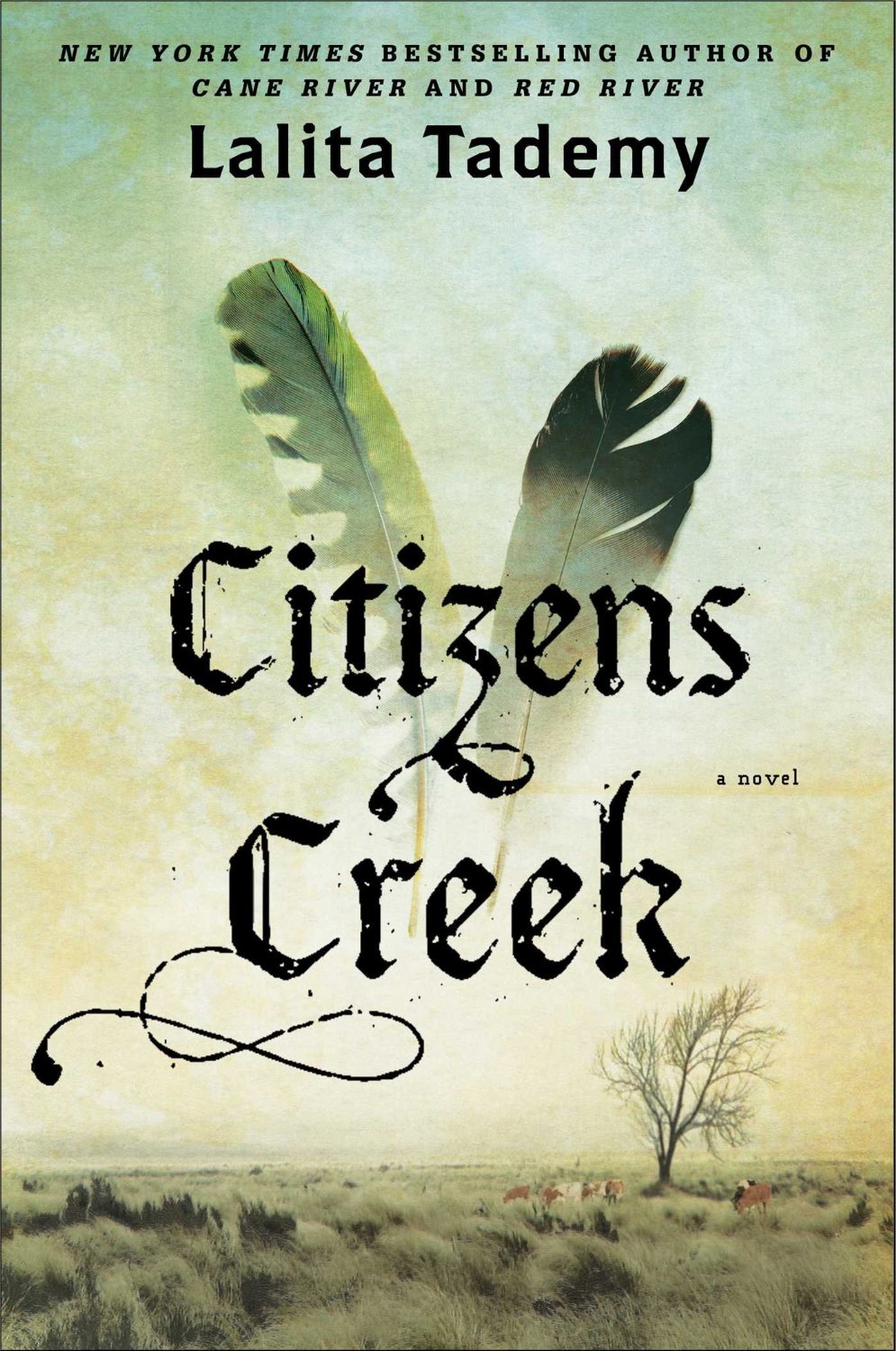 Citizens Creek