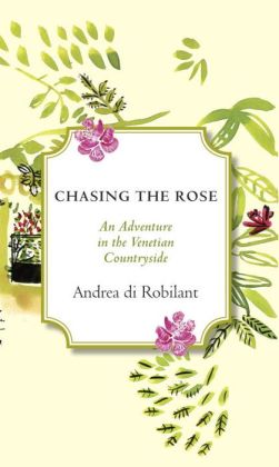 Chasing the Rose