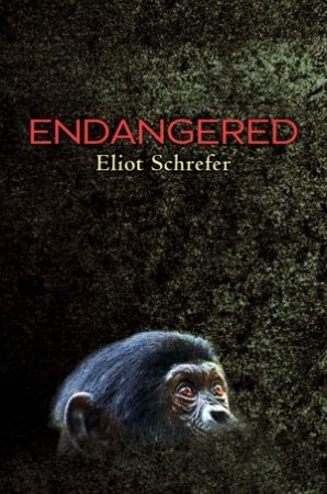 Endangered Endangered