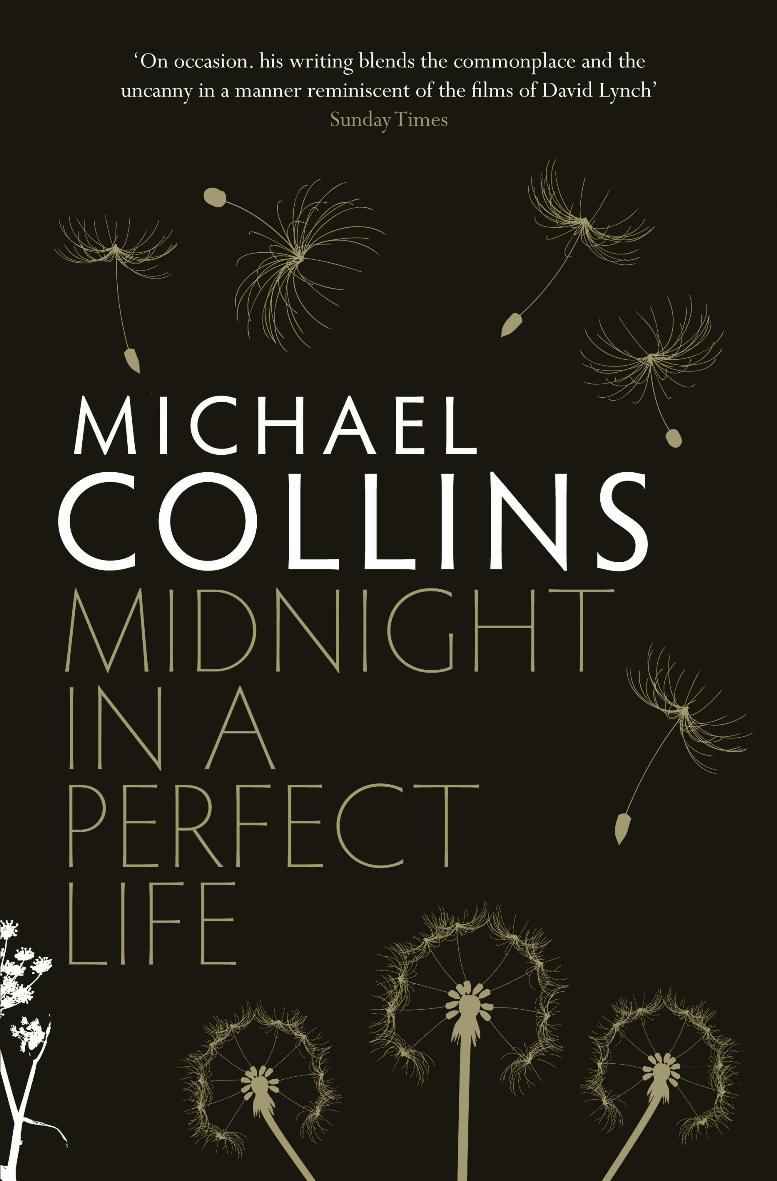 Midnight in a Perfect Life