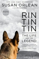 Rin Tin Tin