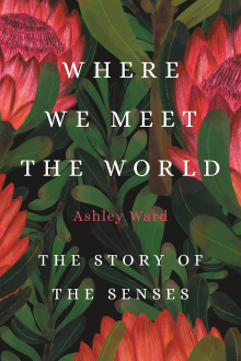 Where We Meet the World